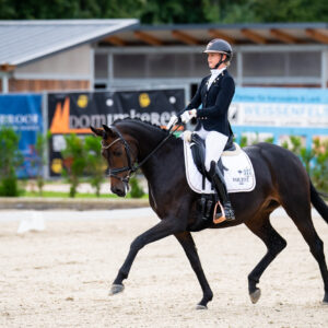 CDI Troisdorf 2023 - autumn
