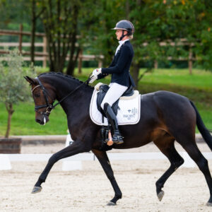 CDI Troisdorf 2023 - autumn