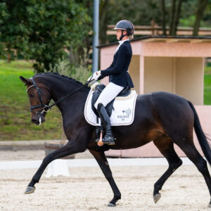 CDI Troisdorf 2023 - autumn