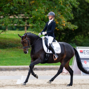 CDI Troisdorf 2023 - autumn
