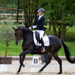 CDI Troisdorf 2023 - autumn