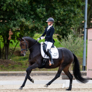 CDI Troisdorf 2023 - autumn