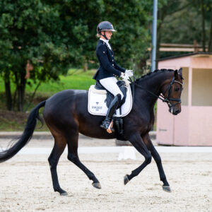 CDI Troisdorf 2023 - autumn