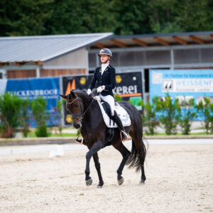 CDI Troisdorf 2023 - autumn