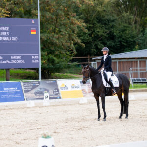 CDI Troisdorf 2023 - autumn