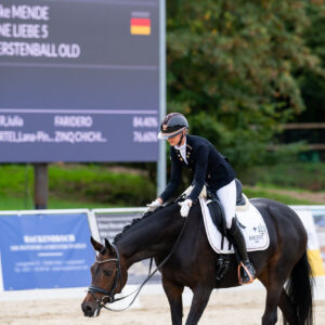 CDI Troisdorf 2023 - autumn