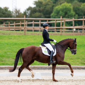 CDI Troisdorf 2023 - autumn