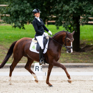 CDI Troisdorf 2023 - autumn