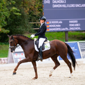 CDI Troisdorf 2023 - autumn
