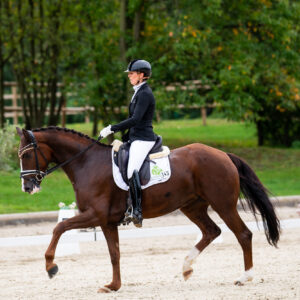 CDI Troisdorf 2023 - autumn