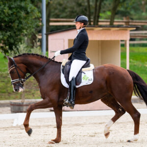 CDI Troisdorf 2023 - autumn