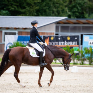 CDI Troisdorf 2023 - autumn