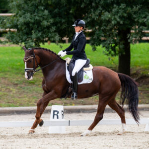 CDI Troisdorf 2023 - autumn