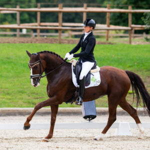 CDI Troisdorf 2023 - autumn