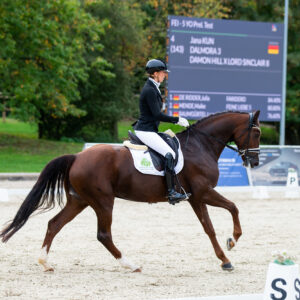 CDI Troisdorf 2023 - autumn