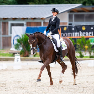 CDI Troisdorf 2023 - autumn