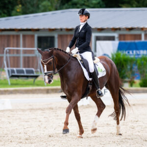CDI Troisdorf 2023 - autumn