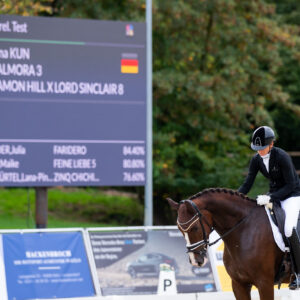 CDI Troisdorf 2023 - autumn