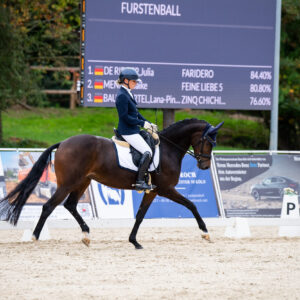 CDI Troisdorf 2023 - autumn