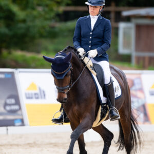 CDI Troisdorf 2023 - autumn