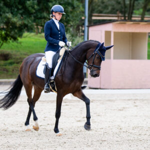 CDI Troisdorf 2023 - autumn
