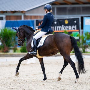 CDI Troisdorf 2023 - autumn