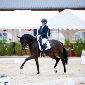 CDI Troisdorf 2023 - autumn