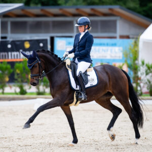 CDI Troisdorf 2023 - autumn