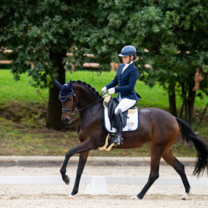 CDI Troisdorf 2023 - autumn