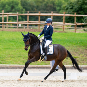 CDI Troisdorf 2023 - autumn