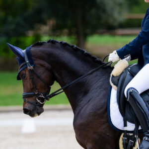 CDI Troisdorf 2023 - autumn