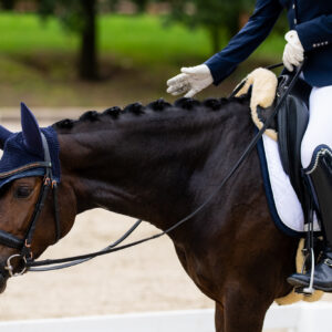 CDI Troisdorf 2023 - autumn