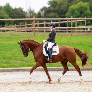 CDI Troisdorf 2023 - autumn