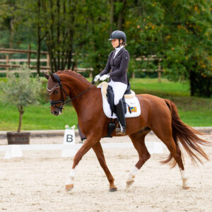 CDI Troisdorf 2023 - autumn
