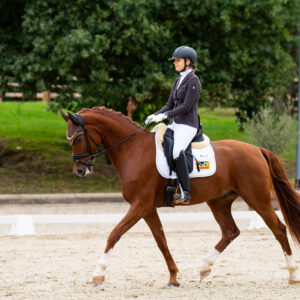 CDI Troisdorf 2023 - autumn