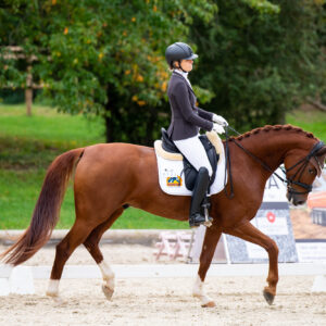 CDI Troisdorf 2023 - autumn