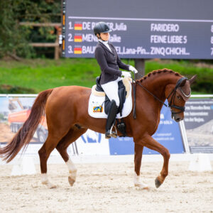 CDI Troisdorf 2023 - autumn