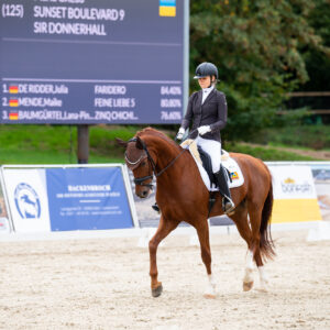 CDI Troisdorf 2023 - autumn