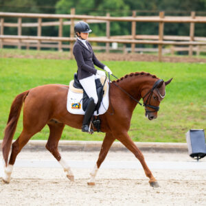 CDI Troisdorf 2023 - autumn