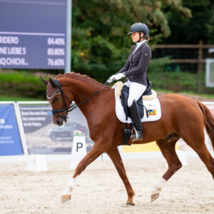 CDI Troisdorf 2023 - autumn