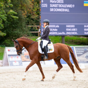 CDI Troisdorf 2023 - autumn