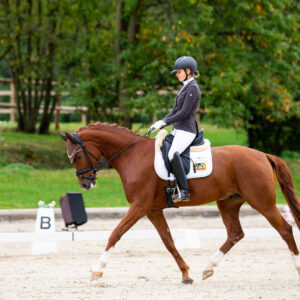 CDI Troisdorf 2023 - autumn