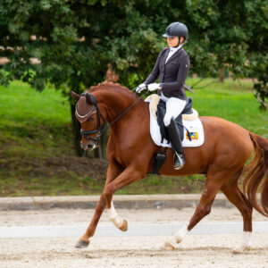 CDI Troisdorf 2023 - autumn