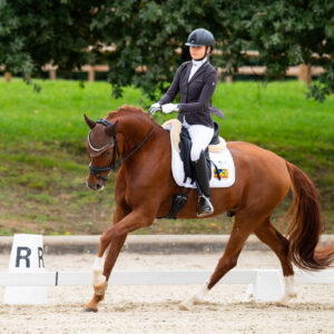 CDI Troisdorf 2023 - autumn