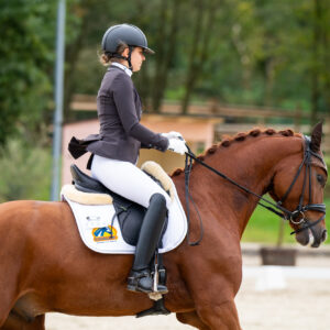 CDI Troisdorf 2023 - autumn