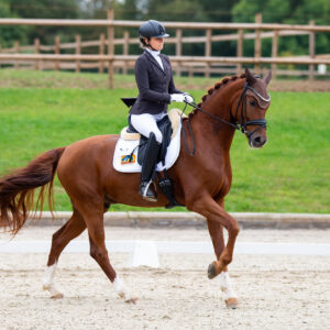 CDI Troisdorf 2023 - autumn