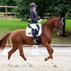 CDI Troisdorf 2023 - autumn