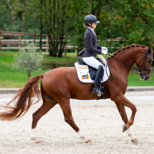 CDI Troisdorf 2023 - autumn