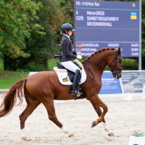 CDI Troisdorf 2023 - autumn