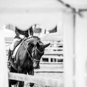 CDI Troisdorf 2023 - autumn